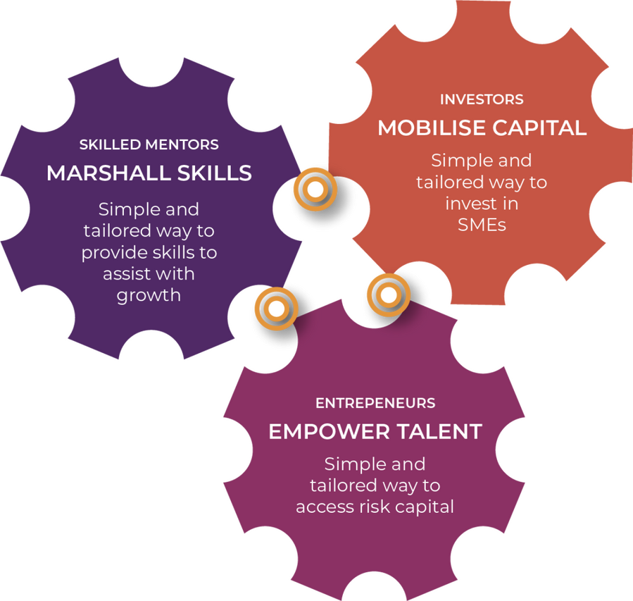 Asset62c3f9c2173509 79546950